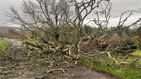 gotanybude|Storm Darragh: Trains cancelled and power cuts for。